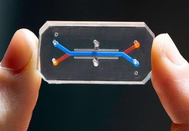 Ilmuwan Ciptakan Vagina On A Chip