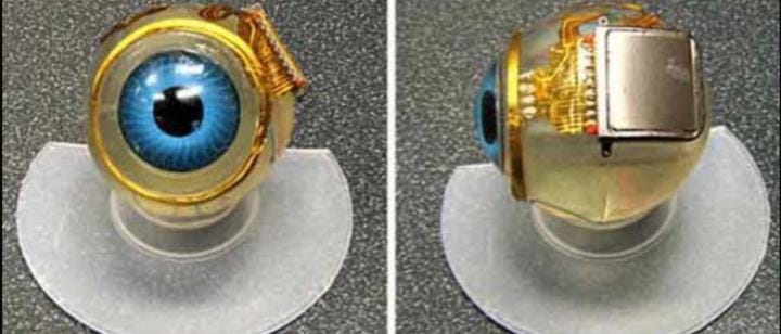 Ilmuwan Kembangkan Mata Bionik Bikin Orang Buta Bisa Melihat Lagi