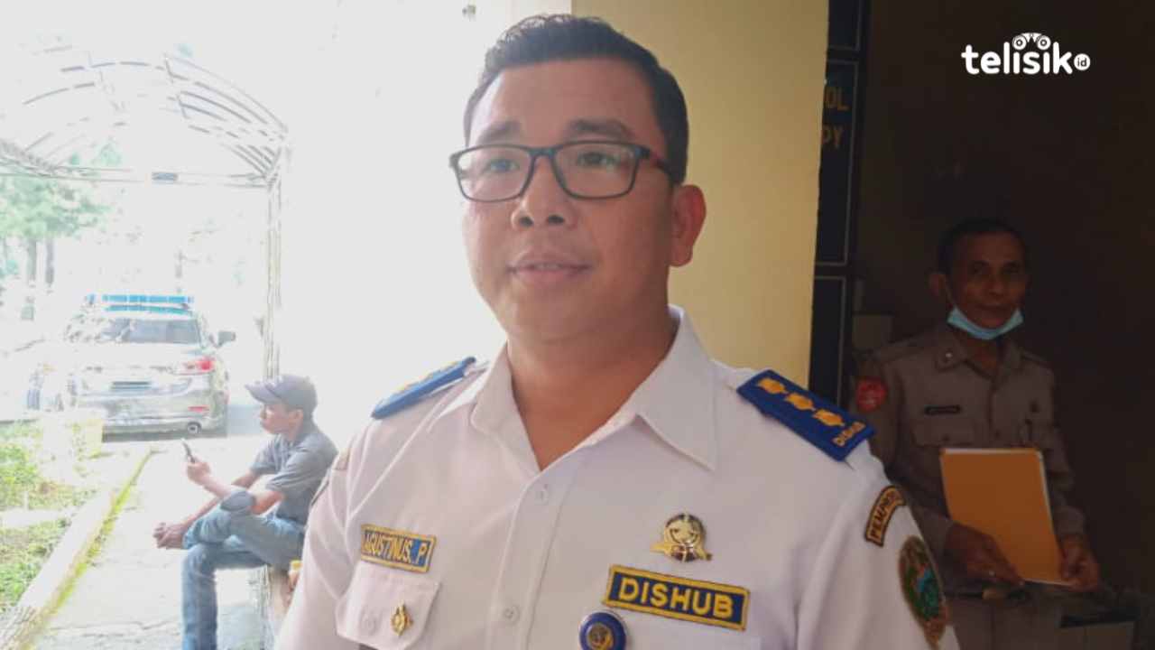 Kementerian Perhubungan Larang Truk Angkut Kayu Tonase 14 Ton Melintas di Jalur Ini