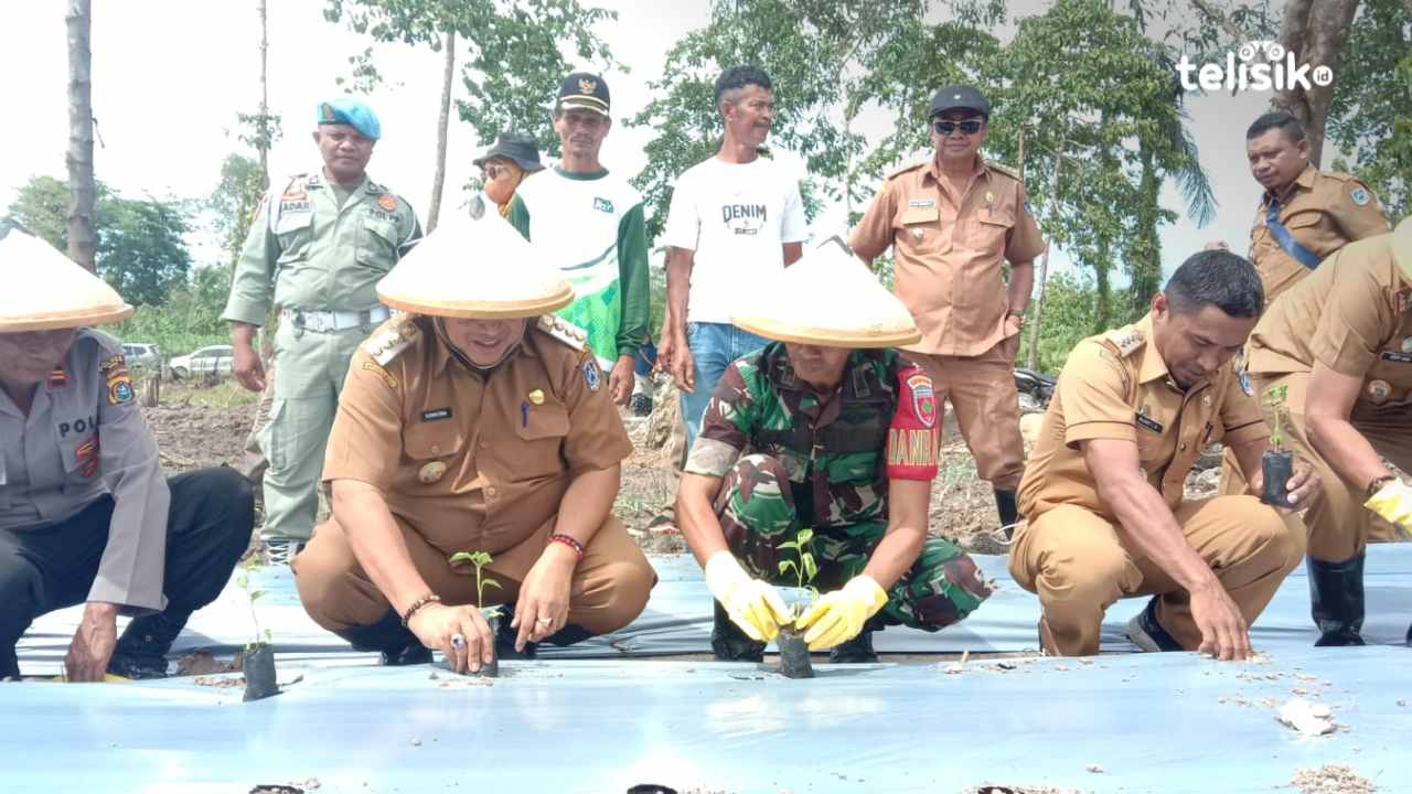 Pemkab Muna Kuncurkan Rp 4,1 Miliar Jamin Ketahanan Pangan