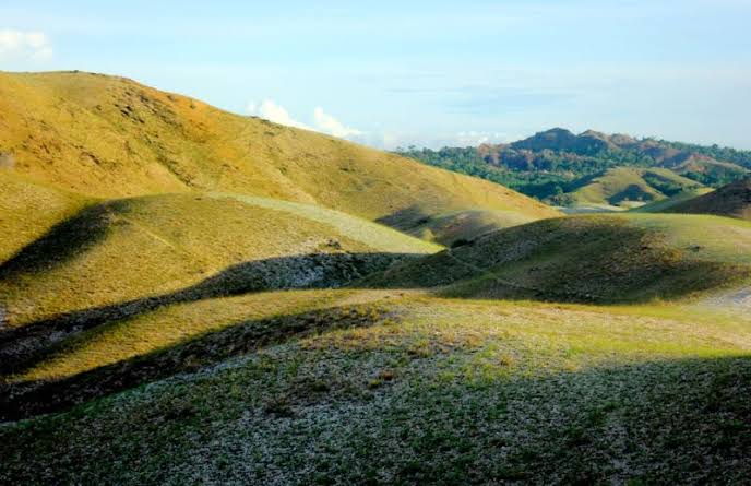 Savana Pajjongang Sajikan Keindahan Padang Rumput ala New Zealand