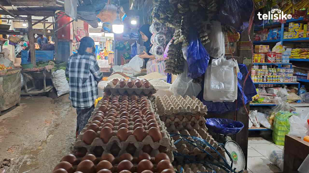 Awal Tahun 2023 Harga Telur di Kota Kendari Berangsur Turun