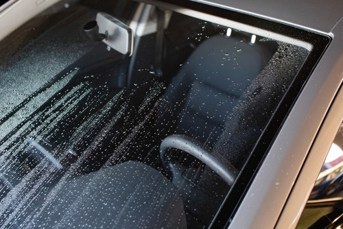 Begini Cara Ampuh Membuat Efek Daun Talas Kaca Mobil