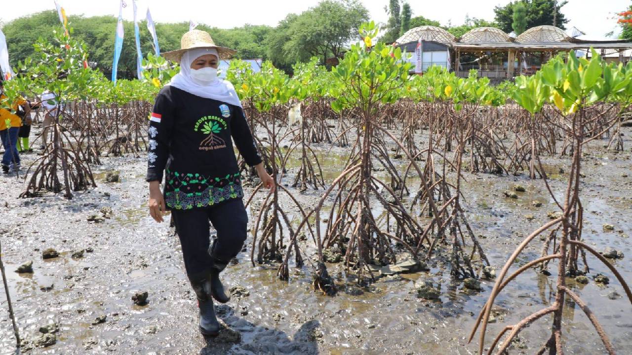 Cuaca Ekstrem Diprediksi Landa Jawa Timur Pekan Depan
