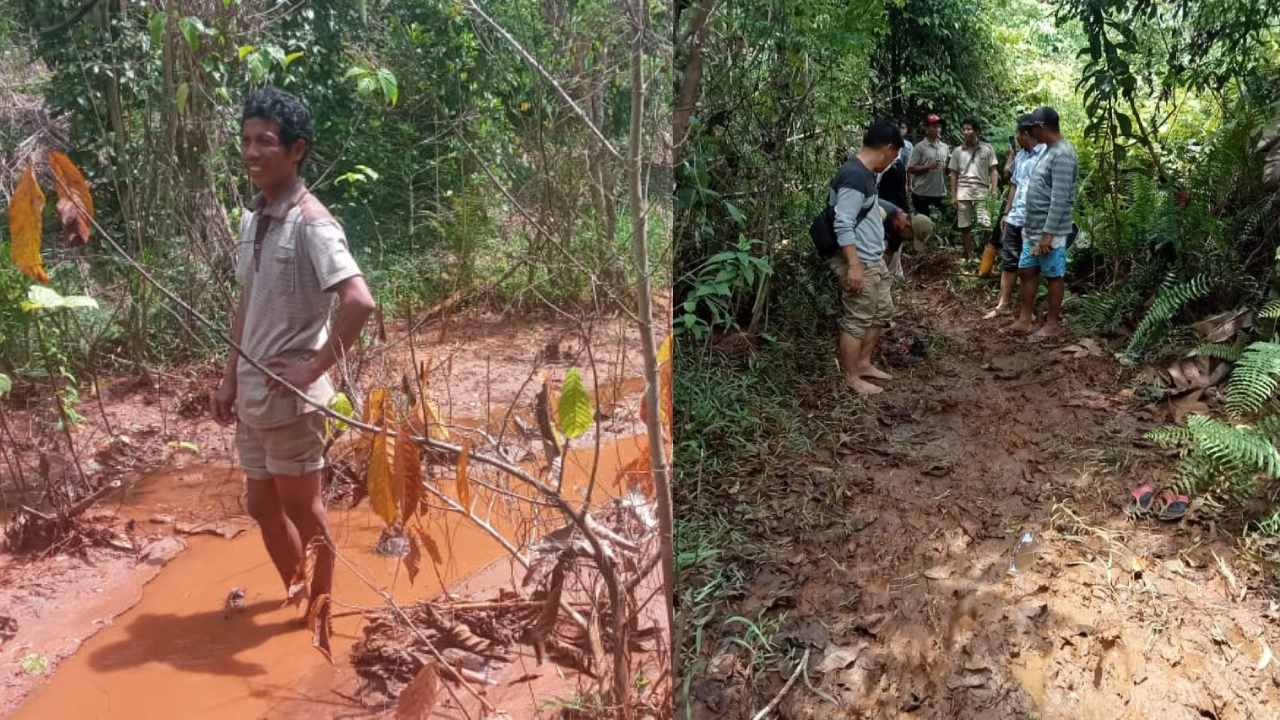 Diduga Tercemar Lumpur Tambang Petani di Kolaka Utara Dua Tahun Stop Bersawah