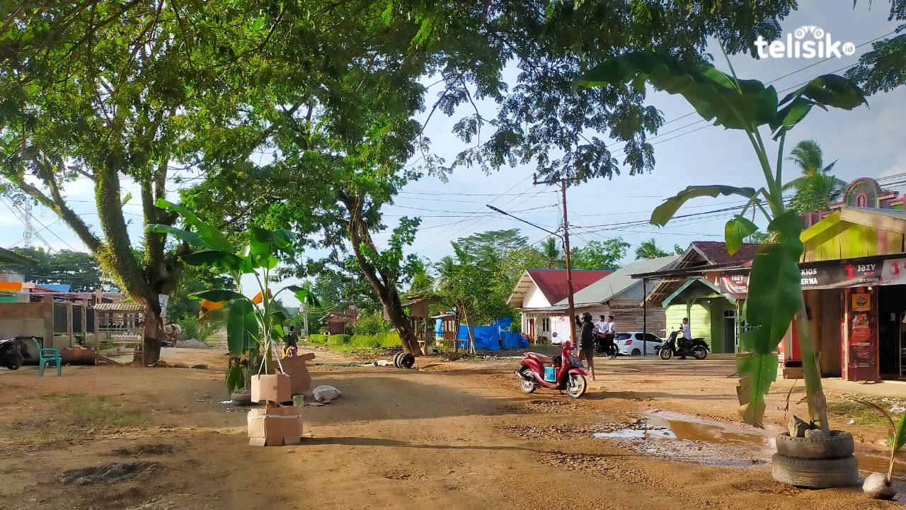 Kecewa Tidak Diperbaiki, Warga Kolaka Timur Tanam Pohon Pisang di Tengah Jalan