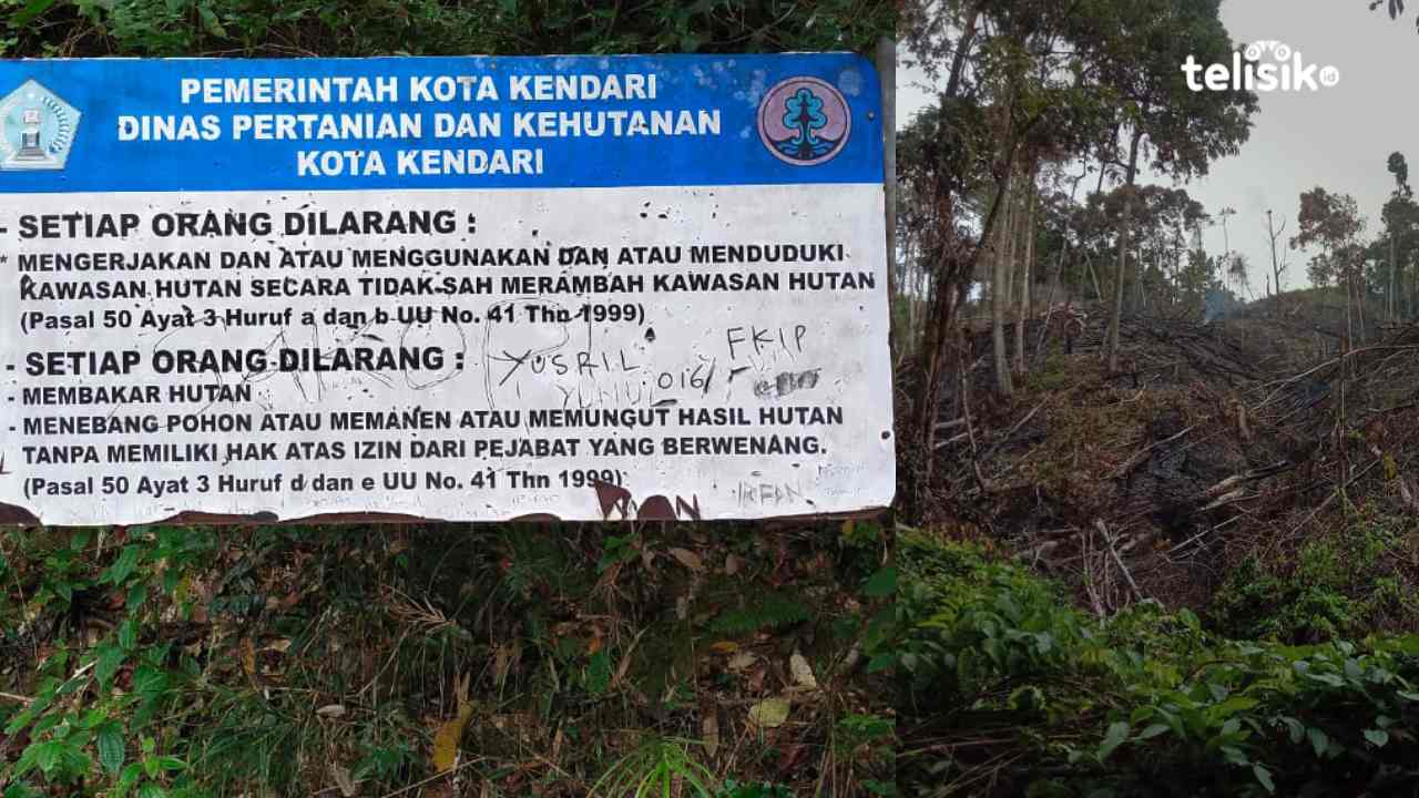 Oknum RT di Kendari Diduga Bakar Hutan Lindung Nanga-Nanga