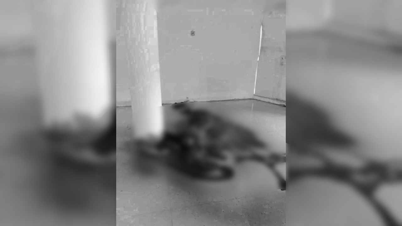 Penemuan Mayat di Gedung Kosong Gegerkan Warga Kolaka Utara