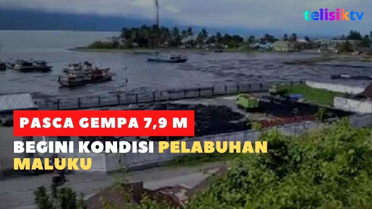 Video: Begini Kondisi Pelabuhan Maluku Pasca Gempa 7,9 M