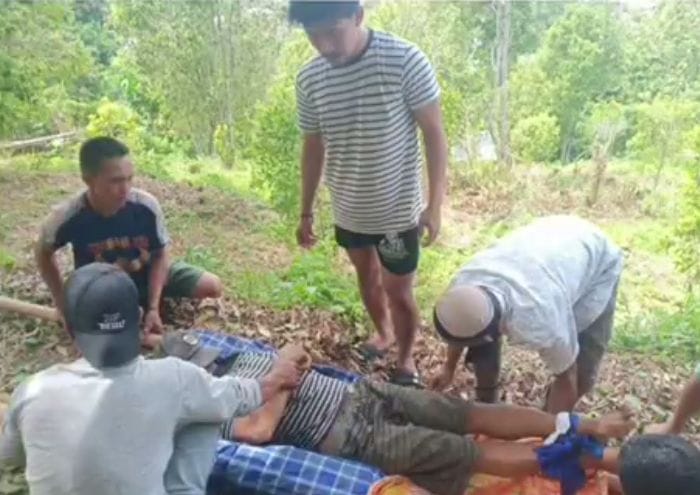 Warga Kolaka Meregang Nyawa di Kebun Cengkeh Akibat Main Game