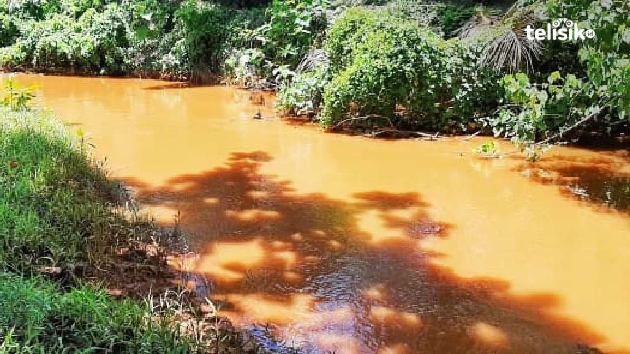 Gegara Tambang, Ratusan Hektare Tambak di Kolaka Utara Stop Produksi