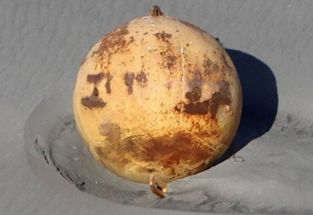 Jepang Evakuasi Bola Raksasa 300 Kilogram