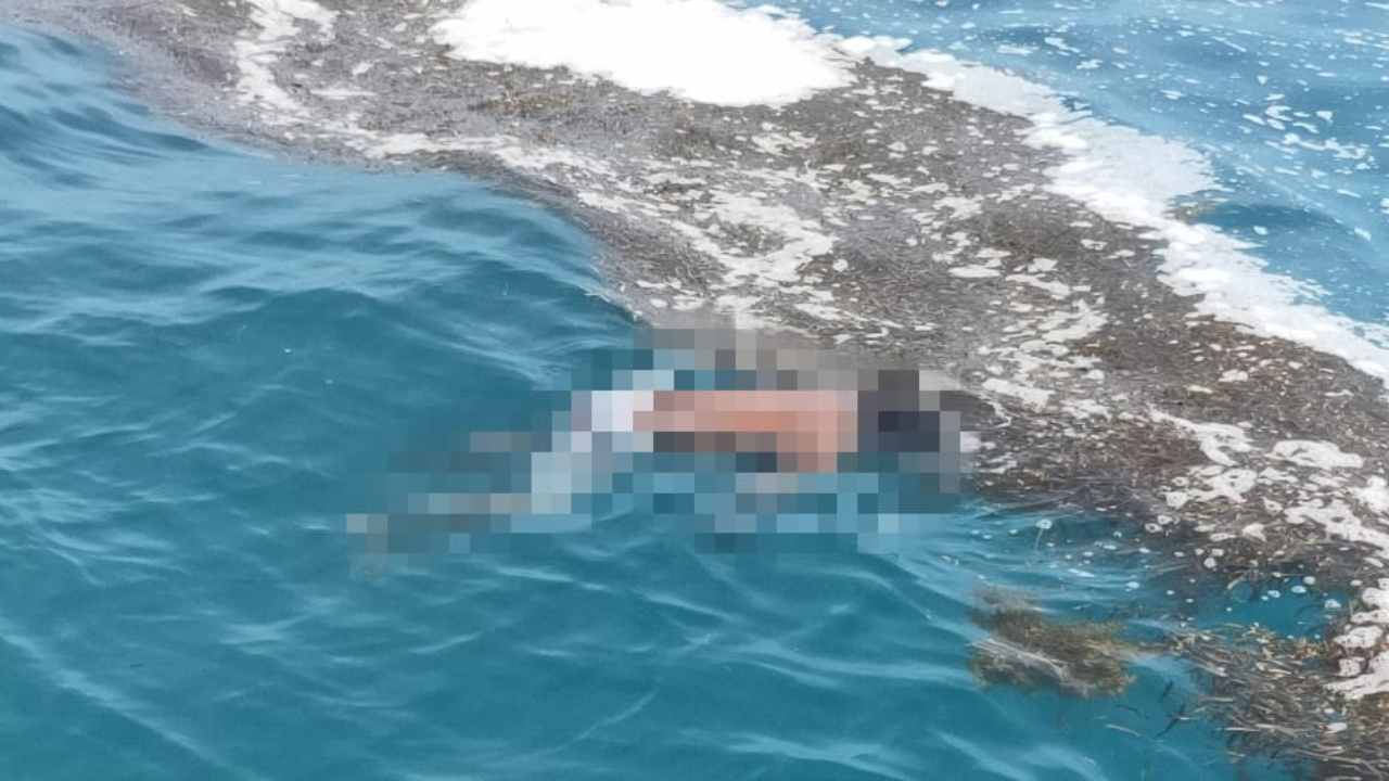 Nelayan Asal Baubau yang Hilang Ditemukan Tewas Terapung