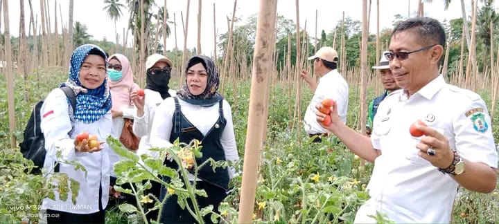 OPD Bombana Diperintahkan Buka Lahan Satu Hektare untuk Kebun Hortikultura