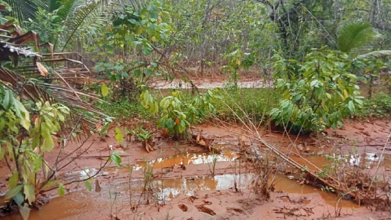 Pemulihan Lingkungan Imbas Lumpur Tambang Butuh Waktu 20 Tahun