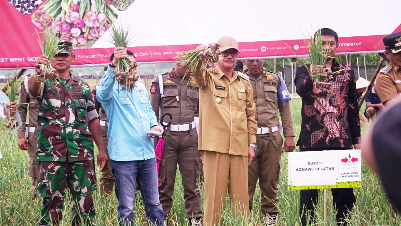 Petani Bawang Dinilai Wujudkan Ketahanan Pangan Konawe Selatan