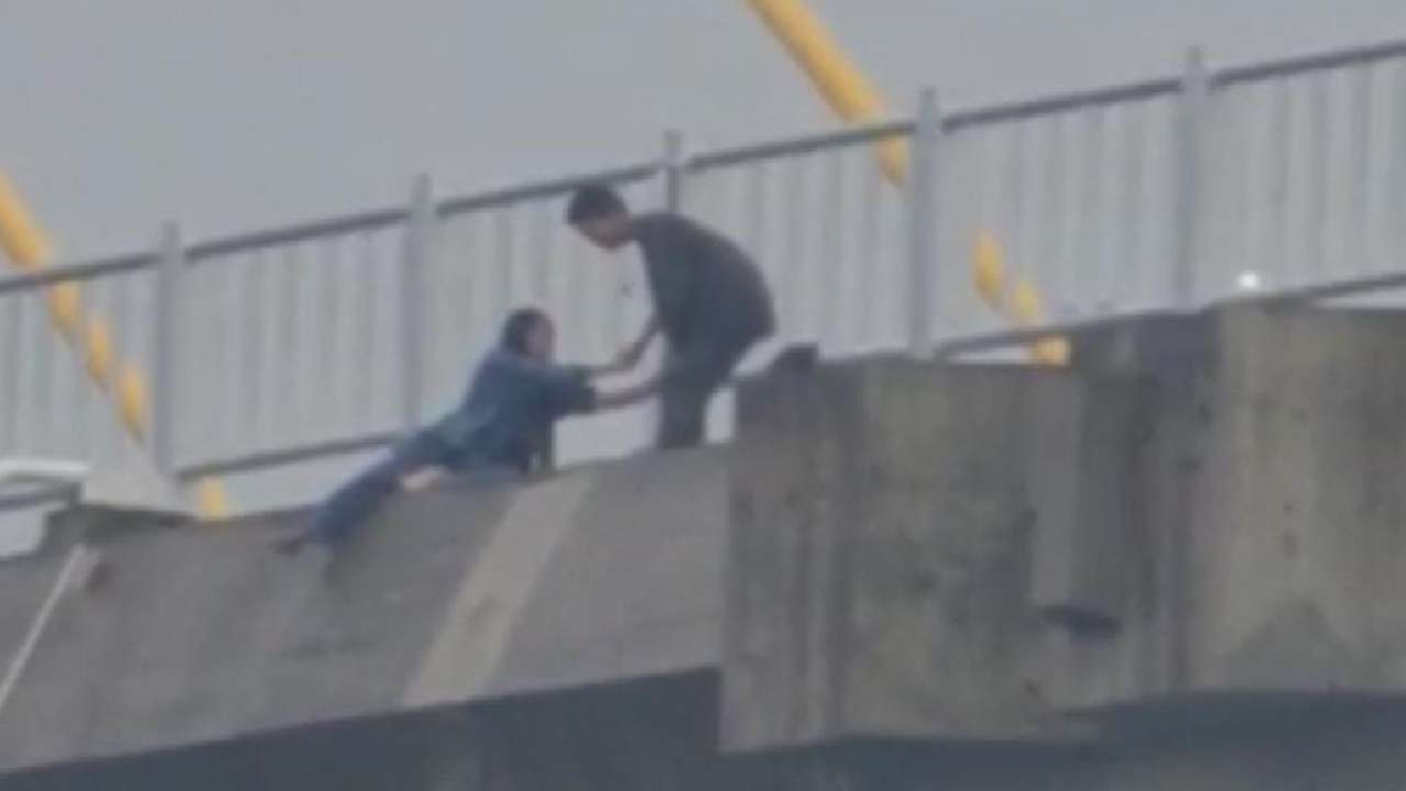 Viral Sepasang Remaja Bertengkar di Jembatan Teluk Kendari, Wanita Nyaris Loncat