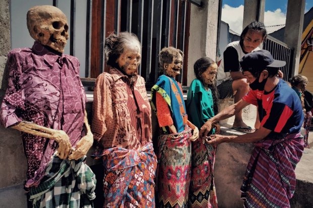 8 Budaya Unik Suku Toraja