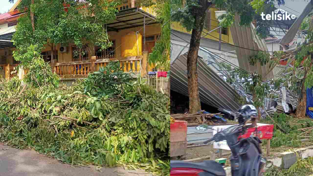Belum Diangkat, Sisa Pohon Tumbang Masih Hiasi di Kota Kendari