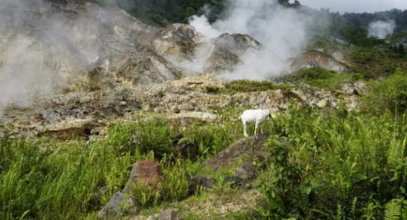 Bukti Riset Proyek Geothermal Layak Ada di Poco Leok Manggarai Meski Ditolak Warga