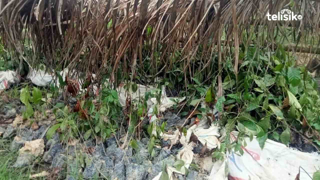 DPMD Muna Pastikan Tidak Ada Masalah dengan Pengadaan Bibit Kopi