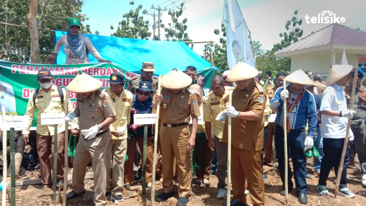 Kementerian Pertanian Tetapkan Muna jadi Kawasan Pengembangan Jagung Nasional