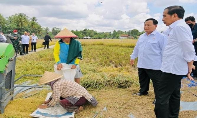Pemerintah Cabut Harga Batas dan Pembelian Gabah, Petani Nilai Terlalu Rendah