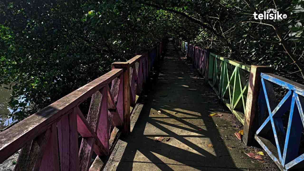 Pernah Eksis, Taman Mangrove Kota Kendari Kini Tak Terawat dan Angker