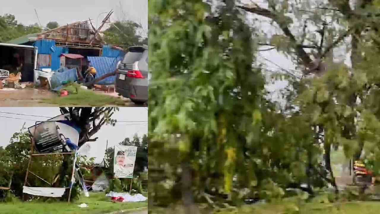 Pohon Tumbang, Rumah Hingga Baliho Politisi Rusak Gegara Angin Kencang dan Hujan Deras di Kota Kendari
