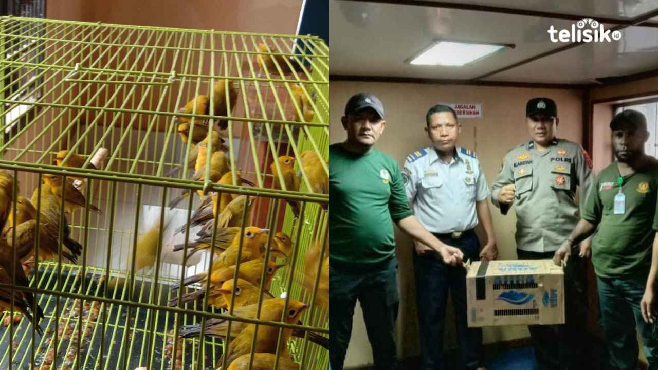 Puluhan Burung Endemik Wakatobi Diselundupkan