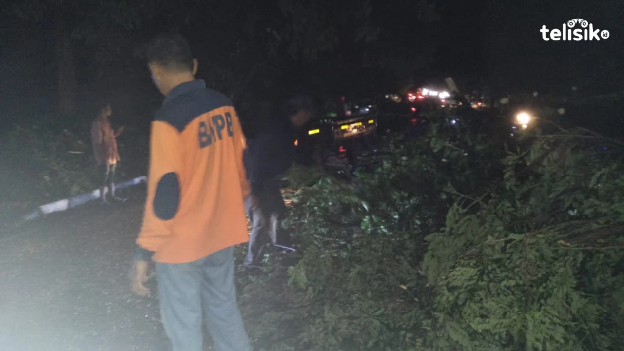 Puluhan Pohon Tumbang, Poros Jalan Puuwatu Lumpuh Total