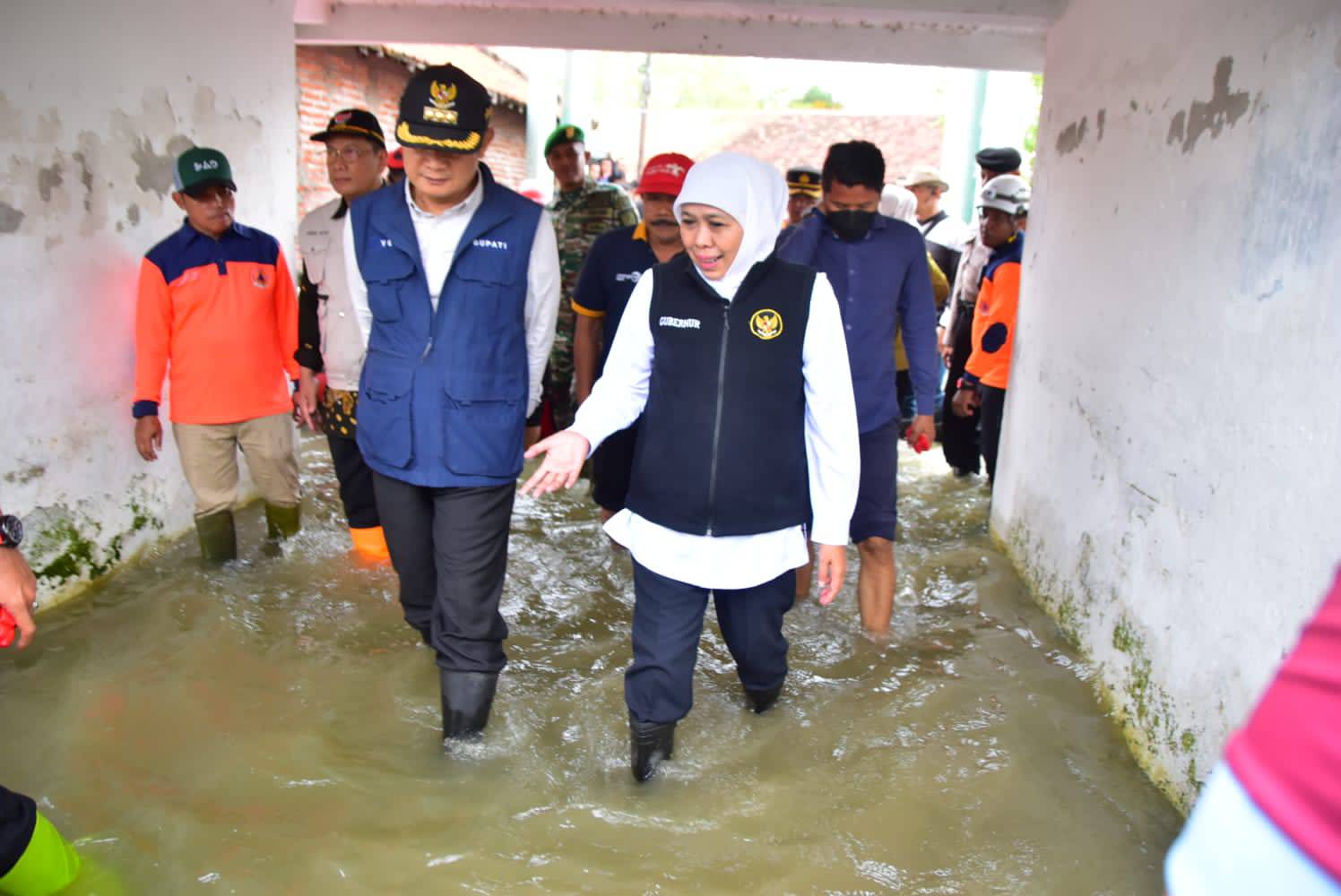 Waspada Penyakit Leptospirosis di Musim Hujan