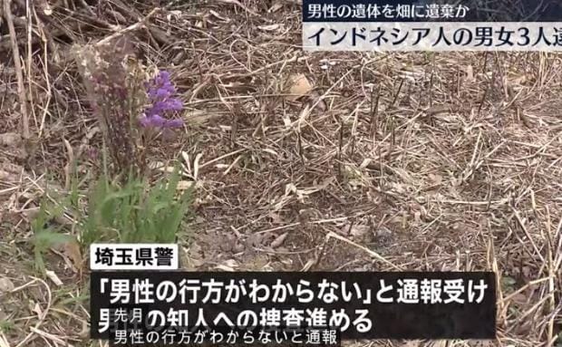 Deretan Fakta Pembunuhan WNI di Jepang, Mayat Ditemukan di Dalam Koper