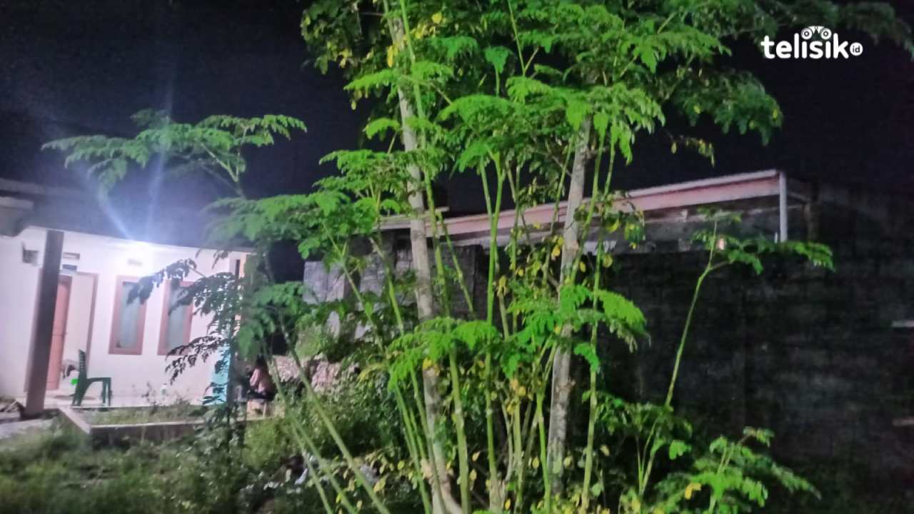 Mistik: Pohon Kelor Senjata Ampuh Lawan Parakang