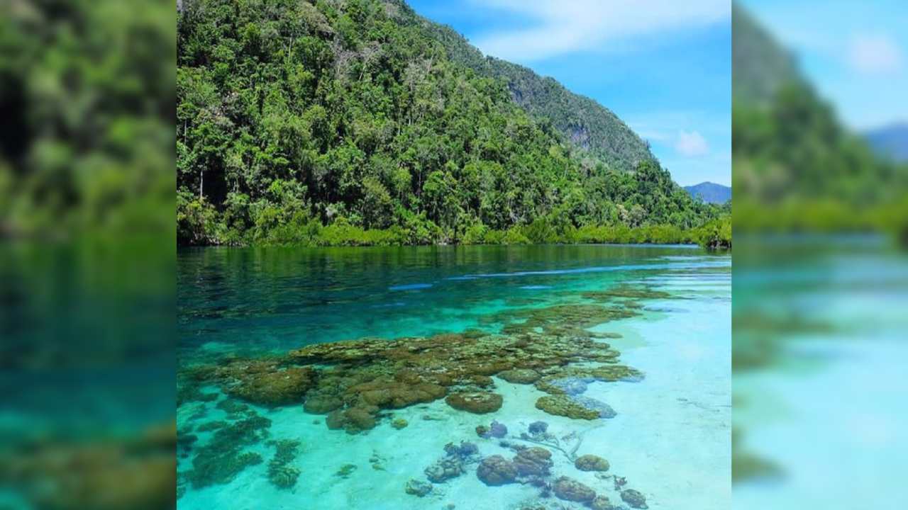 Pesona Keindahan Pulau Labengki, Miniatur Raja Ampat Ala Sulawesi Tenggara