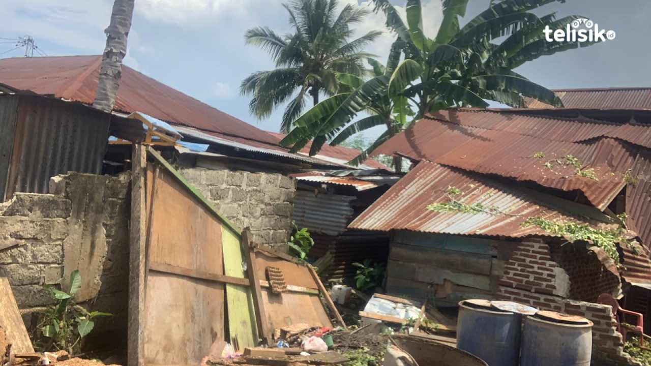 Sejumlah Rumah Warga Roboh Tertimpa Pohon Tumbang di Kota Baubau