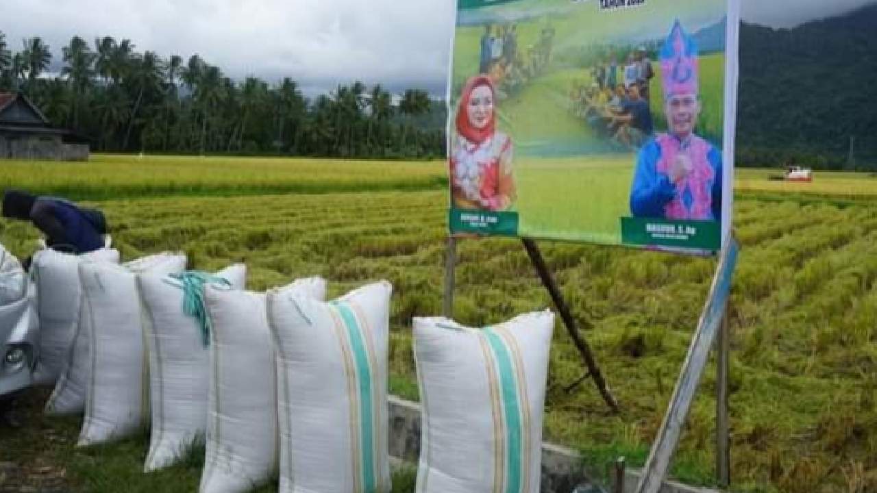 Sektor Pertanian Dongkrak Pertumbuhan Ekonomi Kolaka Utara 2 Tahun Terakhir