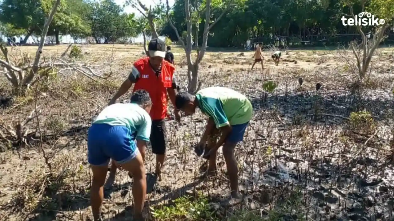 Tim Sibat dan SMPK Tribhakti Reo Reboisasi Lahan Gundul di Pantai Nanga Banda