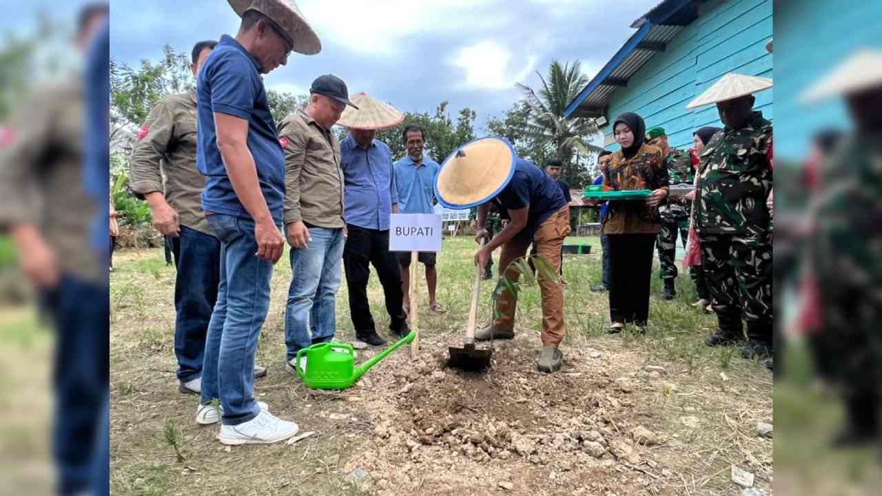 10 Ribu Durian Musang King Mulai Ditanam di Kolaka Timur