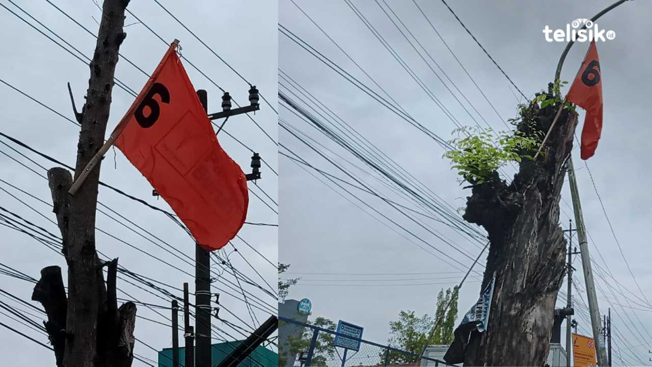 Bendera Partai Buruh Dipaku di Pohon, Bawaslu Sebut Melanggar