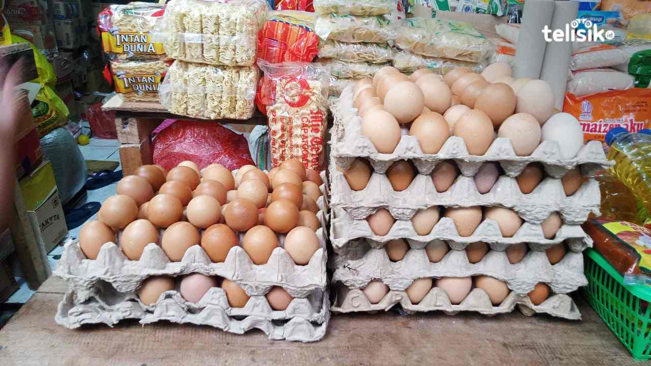 Harga Telur Naik Signifikan di Kota Baubau