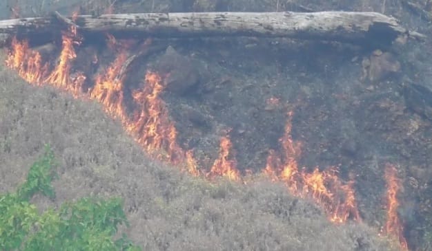 Hati-Hati Puntung Rokok, Nusa Tenggara Timur Diprediksi Terjadi Angin Kencang Bersifat Kering