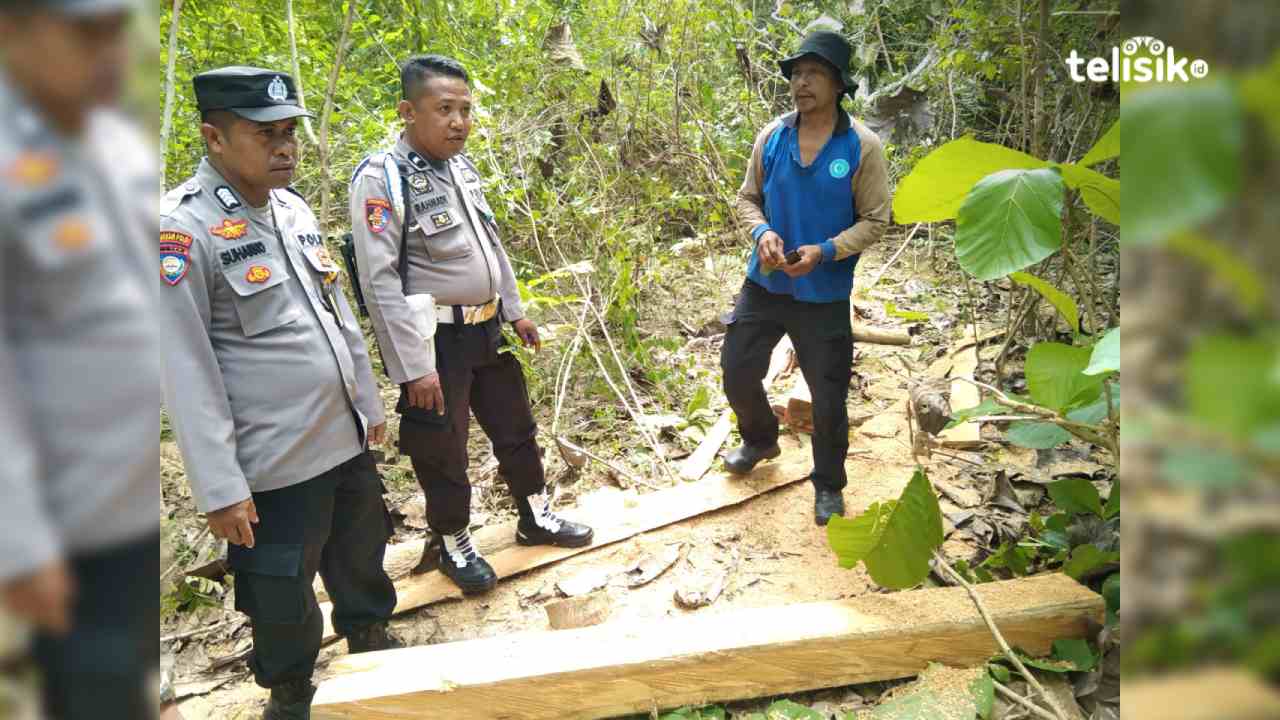 Ketua DPC PKB Muna Lapor Dugaan Pencurian Kayu ke Polisi