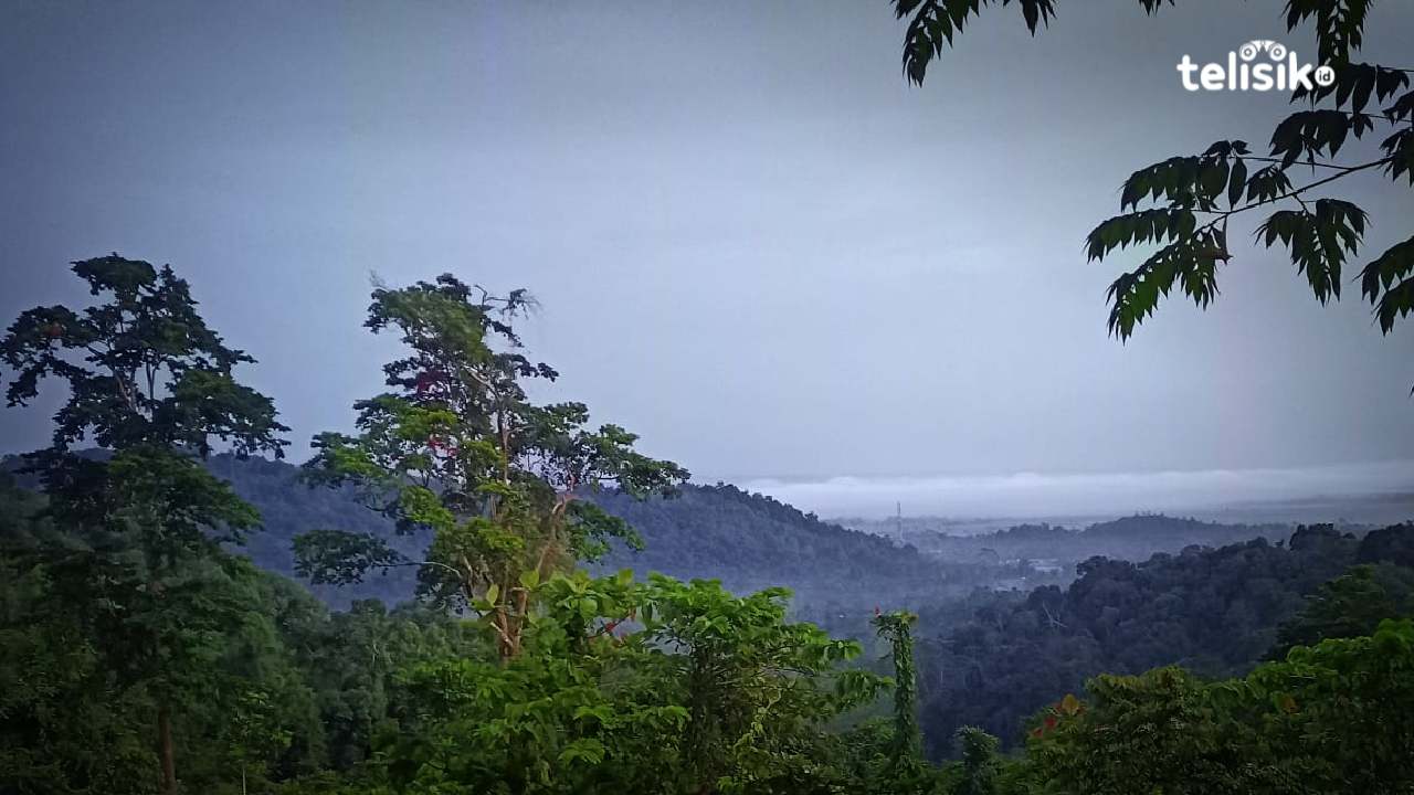 Mistik: Misteri Pria yang Habiskan 10 Tahun Hidup di Hutan Belantara untuk Peroleh Ilmu Kebal