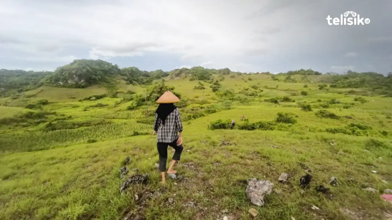 Pesona Alam Menakjubkan Bukit Lahandu Binongko