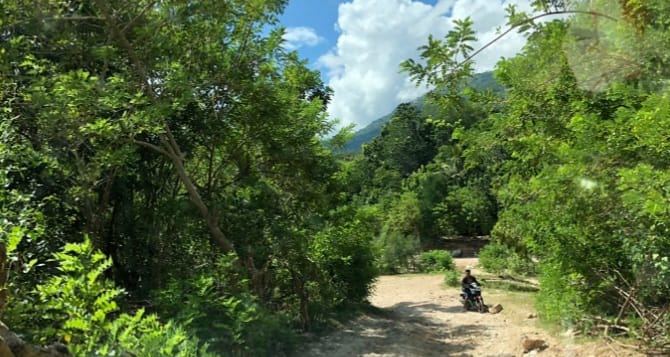 Rabies Merebak, Sebuah Desa di Nusa Tenggara Timur Diisolasi