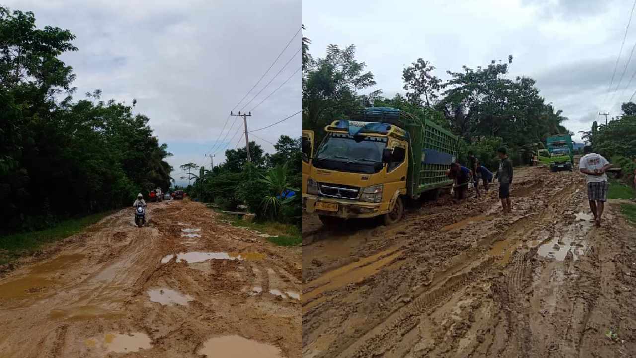 Viral Jalan di Kolaka Timur Rusak Parah Setelah Diguyur Hujan