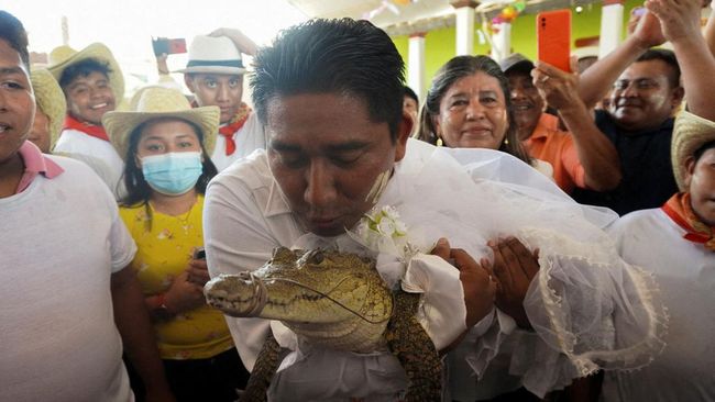 Wali Kota di Negara Ini Wajib Nikahi Buaya Betina, Tujuannya Bikin Kaget