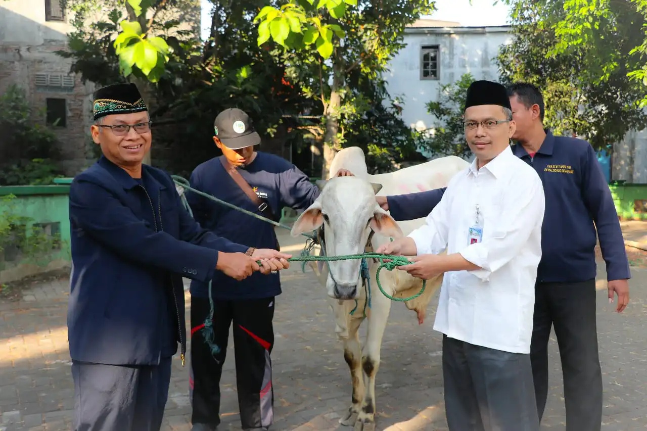 Hikmah dan Keutamaan Berkurban