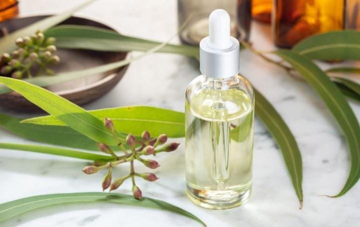 Banyak di Sekitar Kita, Ini Resep Anti Nyamuk Alami